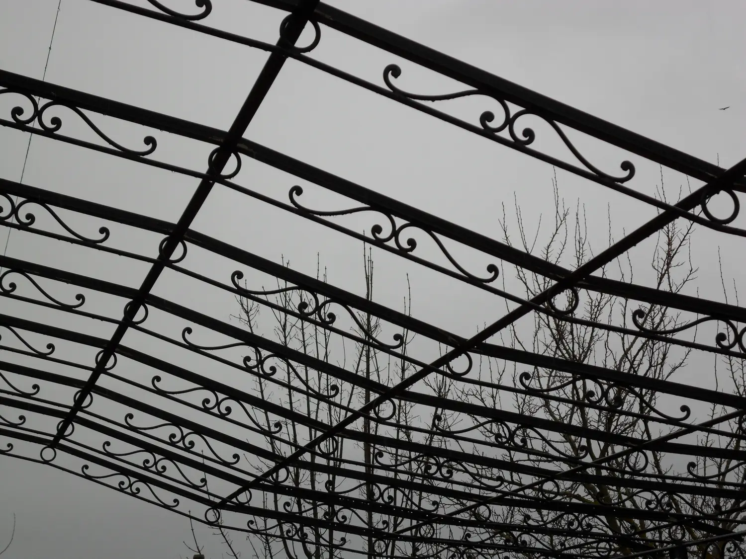 Pergola, tettoia o recinzione in ferro (foto 26)