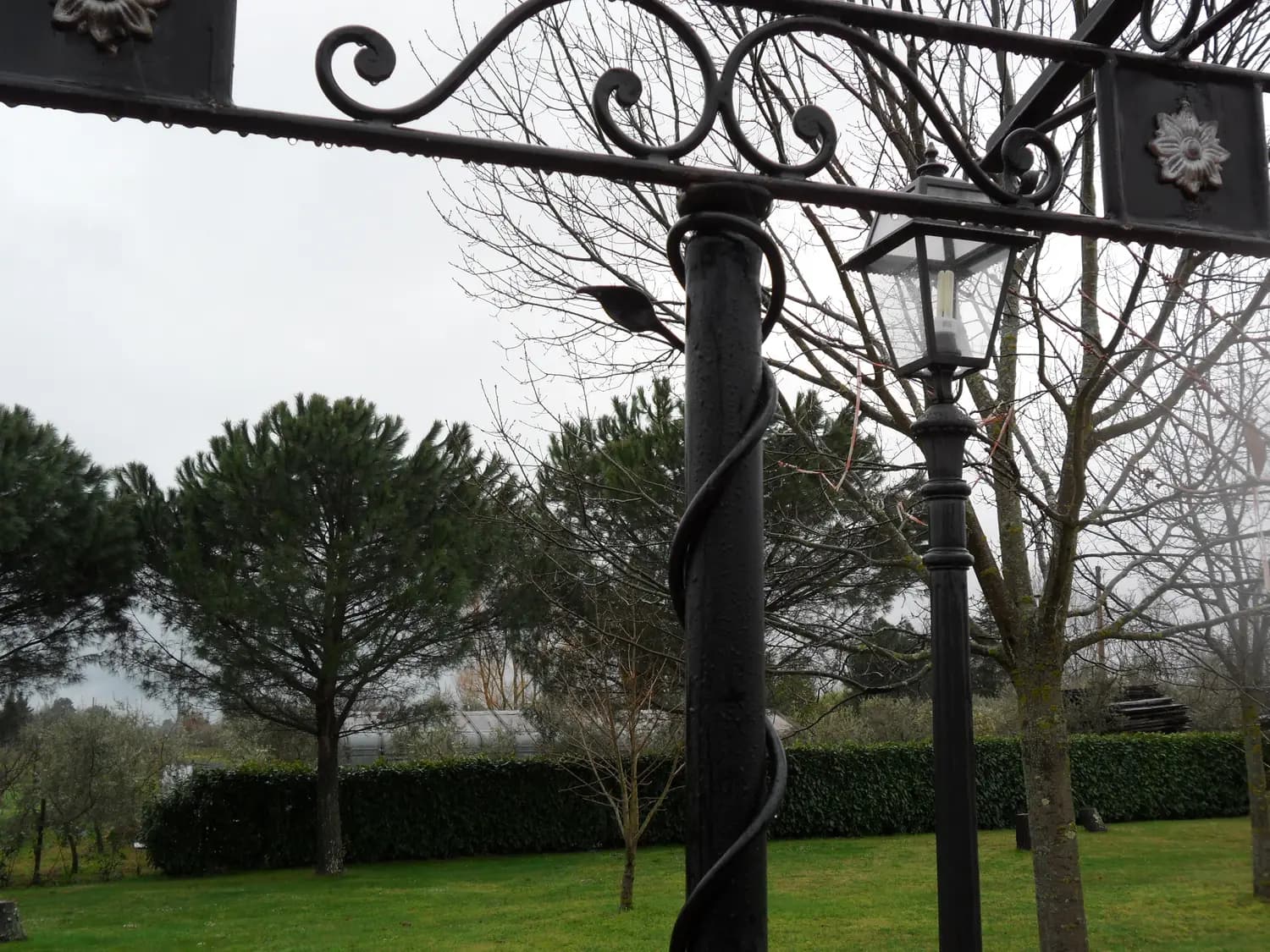Pergola, tettoia o recinzione in ferro (foto 35)